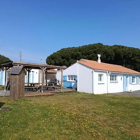 L'olivier Des Dunes